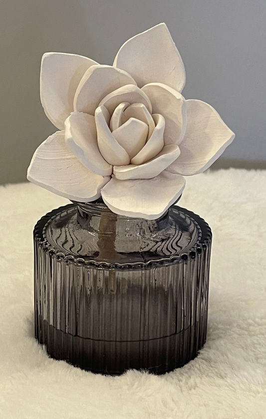 aromatic oil diffuser