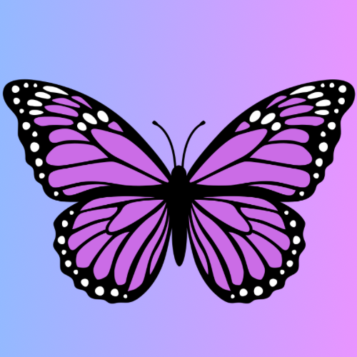 Sashiel Natural Beauty